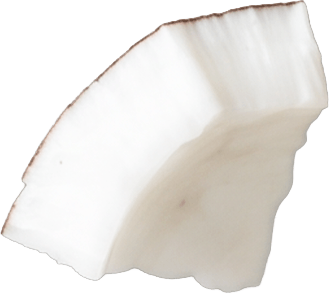 Pedazo de coco decorativo